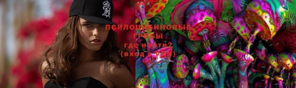 винт Алексеевка