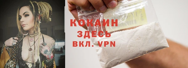 ешки Алексин