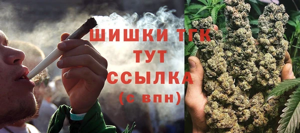 ПСИЛОЦИБИНОВЫЕ ГРИБЫ Абаза