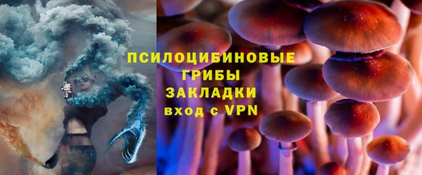 ПСИЛОЦИБИНОВЫЕ ГРИБЫ Абаза